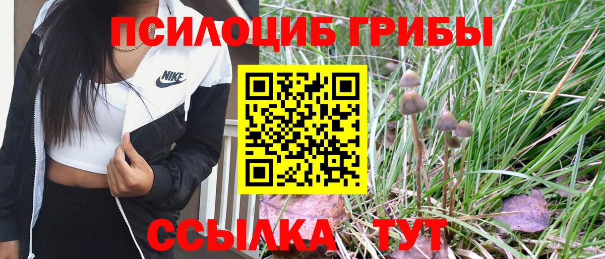Галлюциногенные грибы Cubensis  магазин продажи   Сосновый Бор  Вход с VPN  Галлюциногенные грибы MAGIC MUSHROOMS 